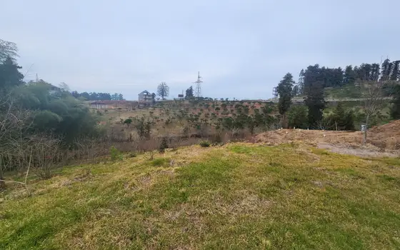 Adjara, resort Chakvi, land in the central part of the village., photo 2