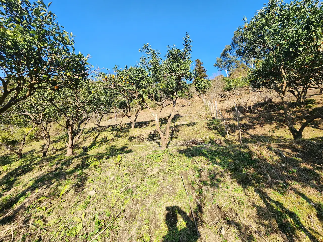 2335 m² Land Plot in Gonio, photo 1