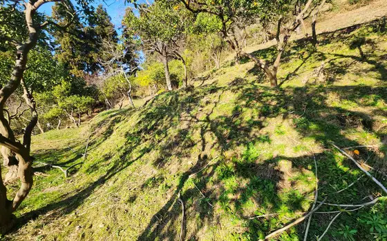 2335 m² Land Plot in Gonio, photo 7