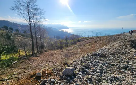 На берегу Черного моря, в поселке Сарфи, земельный участок с видом на море.