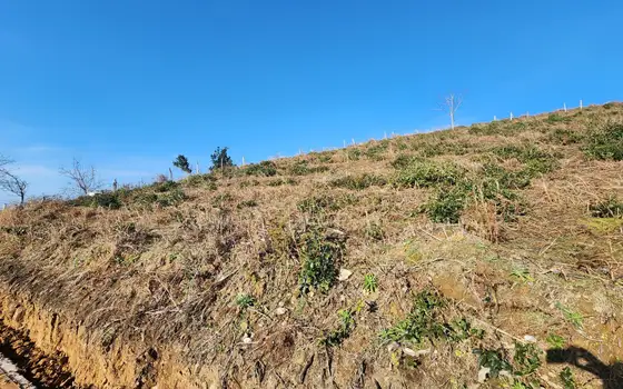 On the Black Sea coast, in the village of Sarfi, a land plot overlooking the sea., photo 5