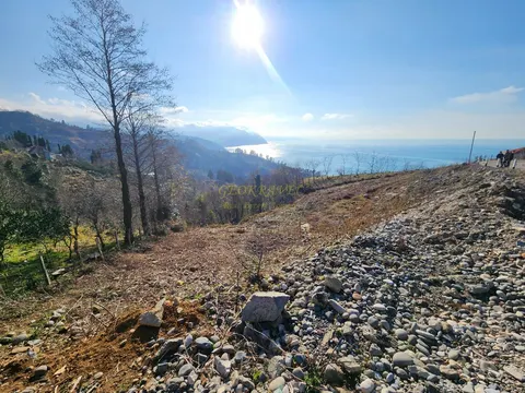 На берегу Черного моря, в поселке Сарфи, земельный участок с видом на море.
