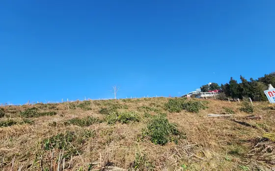 On the Black Sea coast, in the village of Sarfi, a land plot overlooking the sea., photo 7