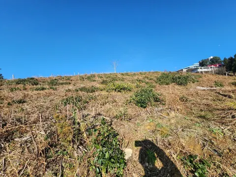 На берегу Черного моря, в поселке Сарфи, земельный участок с видом на море.