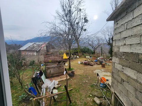 Село Хала, вблизи поселка Чакви. Кобулетский муниципалитет.