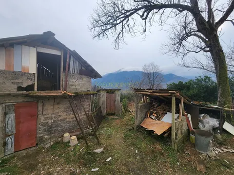 Село Хала, вблизи поселка Чакви. Кобулетский муниципалитет.