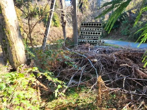В Кобулетском муниципалитете, село Букнари, участок с видом на море.