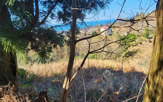 В Кобулетском муниципалитете, село Букнари, участок с видом на море.