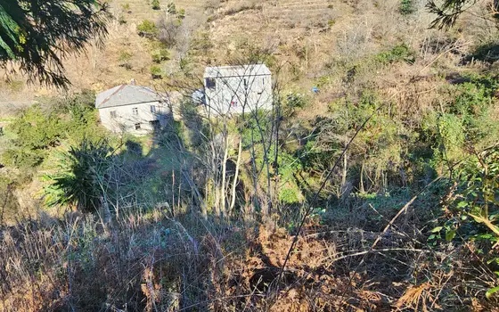 В Кобулетском муниципалитете, село Букнари, участок с видом на море.