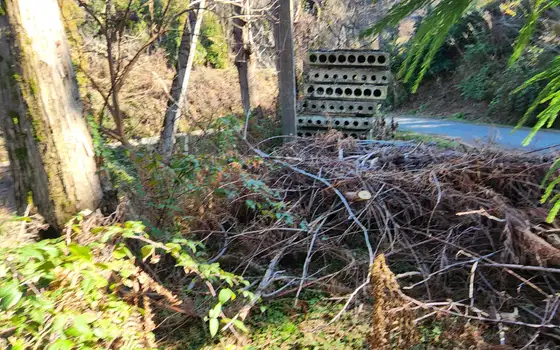 В Кобулетском муниципалитете, село Букнари, участок с видом на море.