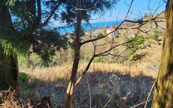 В Кобулетском муниципалитете, село Букнари, участок с видом на море.