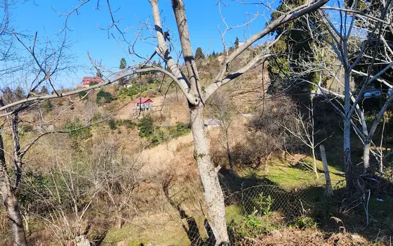 В Кобулетском муниципалитете, село Букнари, участок с видом на море.