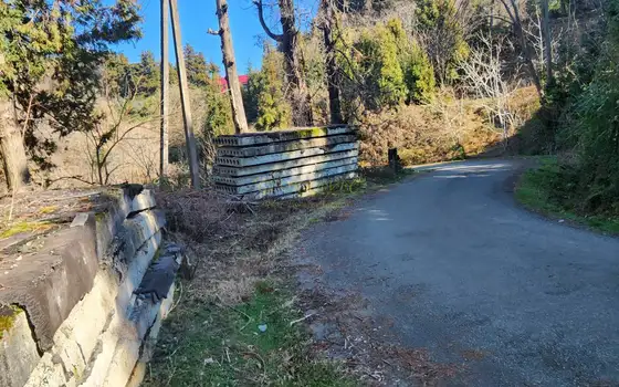 В Кобулетском муниципалитете, село Букнари, участок с видом на море.