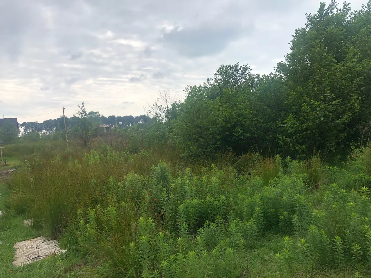 Land Plot in Shekvetili, 1 km from the Sea, photo 1