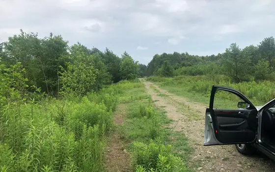 Land Plot in Shekvetili, 1 km from the Sea, photo 3