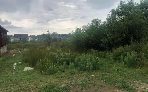 Land Plot in Shekvetili, 1 km from the Sea, photo 6