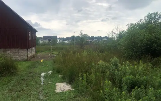 Land Plot in Shekvetili, 1 km from the Sea, photo 2