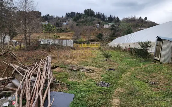 Село Чарнали Хелвачаурский муниципалитет.