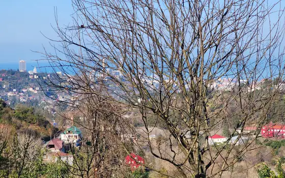 Село Ахалшени Хелвачаурский  муниципалитет.