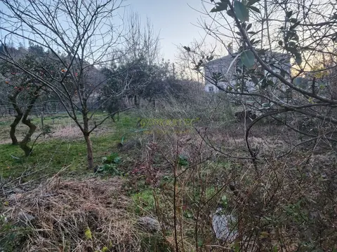 Предлагаем земельный участок в село Ахалсофели вблизи Гонио.