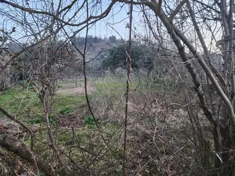 Предлагаем земельный участок в село Ахалсофели вблизи Гонио.