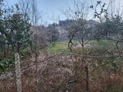 Предлагаем земельный участок в село Ахалсофели вблизи Гонио.