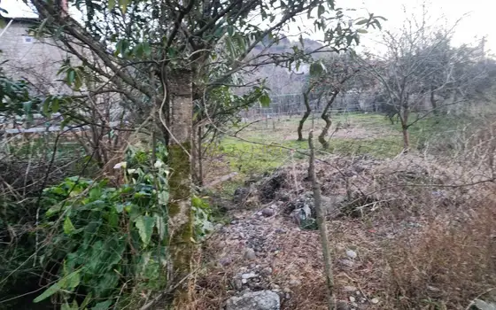 Предлагаем земельный участок в село Ахалсофели вблизи Гонио.
