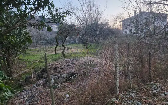 Предлагаем земельный участок в село Ахалсофели вблизи Гонио.