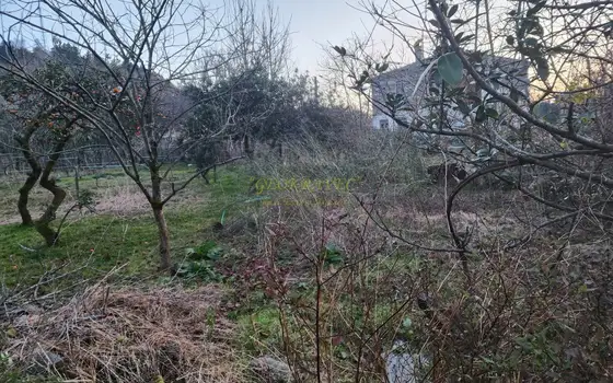 Предлагаем земельный участок в село Ахалсофели вблизи Гонио.