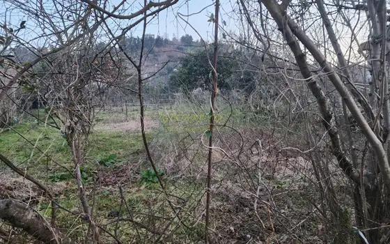 Предлагаем земельный участок в село Ахалсофели вблизи Гонио.