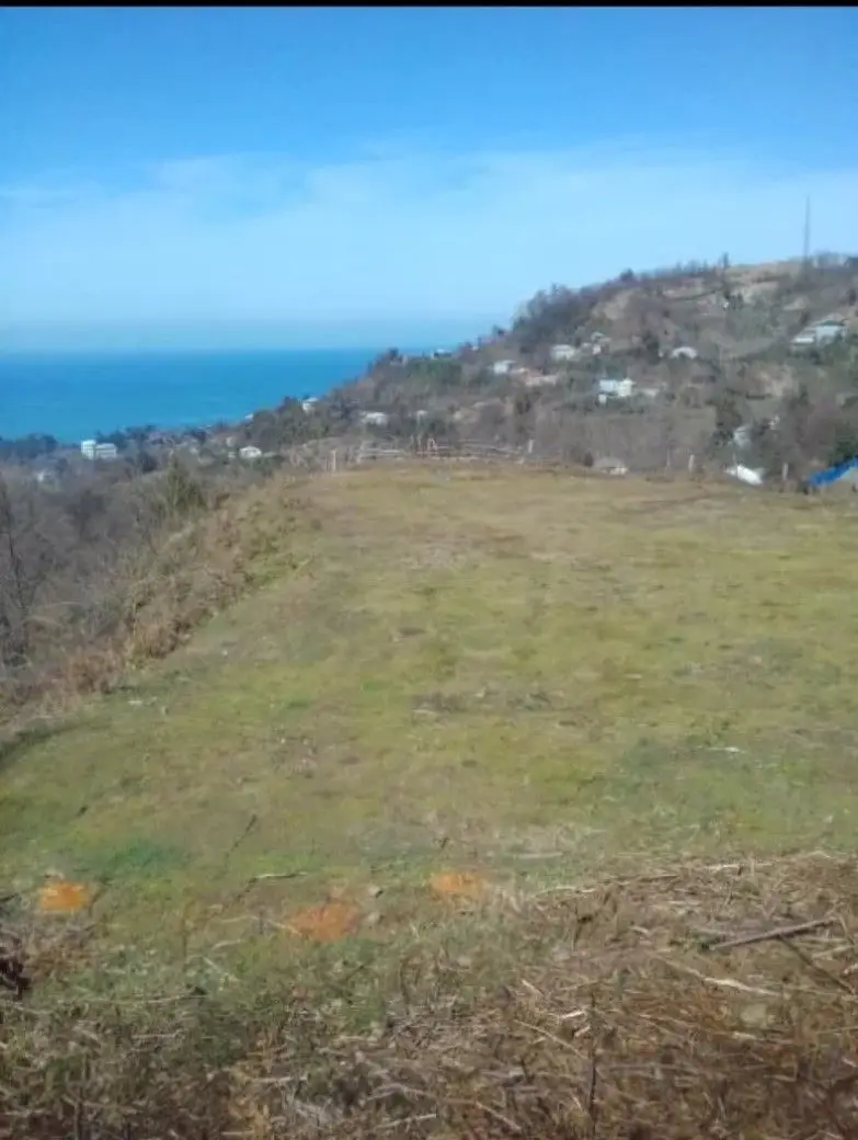 Land plot in the village of Makhinjauri, on the Black Sea coast., photo 1