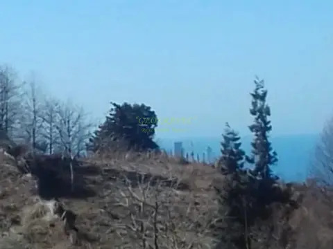 Земельный участок в поселке  Махинджаури, на берегу Черного моря.