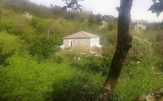 В Гурии, на расстоянии 6 км-ов от моря, в  село Шрома , частный дом с фруктовыми деревьями и цитрусовым садом. - სურათი 1