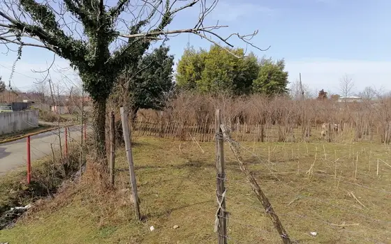 Земельный участок 6326 м² в Батуми - სურათი 1