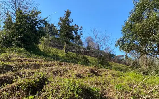 Рядом с городом Батуми, земельный участок в Перия.