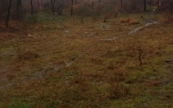 Дом с участком в  тохом, уютном районе города Кобулети.