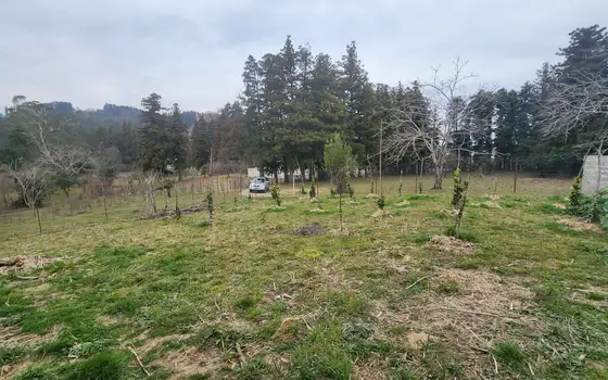 Продается земельный участок в тихом месте., фото 10