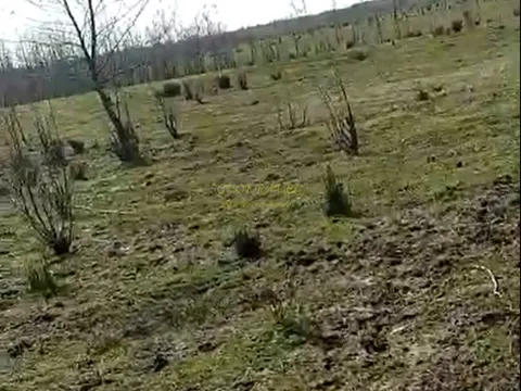 Инвестиционная земля в Натанеби.