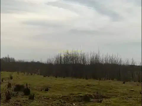 Инвестиционная земля в Натанеби.