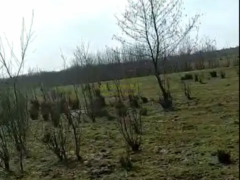Инвестиционная земля в Натанеби.