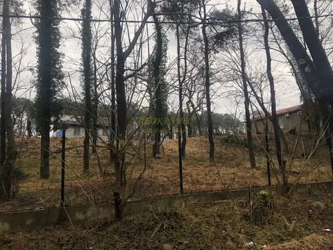 Продается земельный участок  в Шекветили.