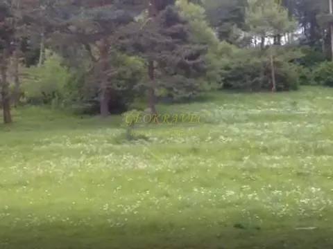 Инвестиционная земля в Бакуриани.