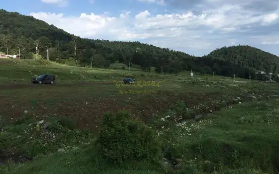Инвестиционная земля в Бакуриани.