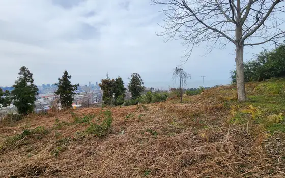 Земельный участок с прекрасным видом на море.