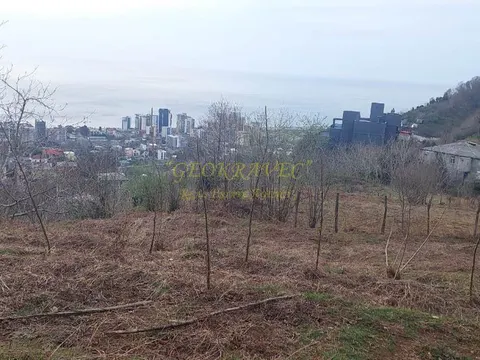 Земельный участок сельскохозяйственного назначения 1049 кв.м. - სურათი 1