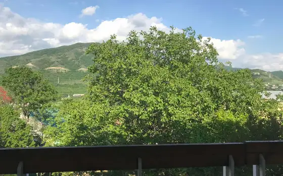 Продается загородный дом в муниципалитете Мцхети.