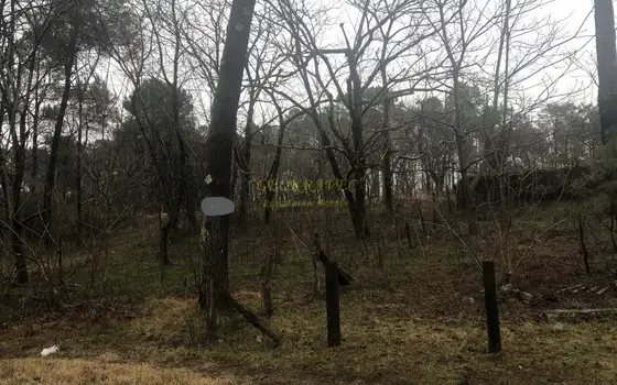 Продается земельный участок недалеко от концертного зала "black sea arena" в Шекветили. Грузия.