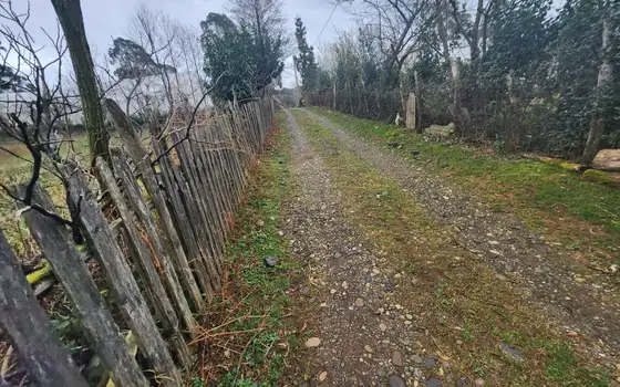 Земельный участок в Чарнали.