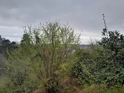 Продается земельный участок в 1,5 км от города Батуми.