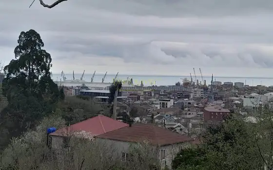 Продается земельный участок в 1,5 км от города Батуми. - სურათი 1